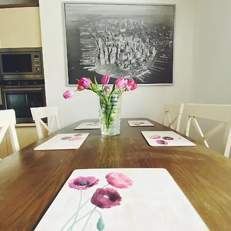 Lumir 波杰布拉迪