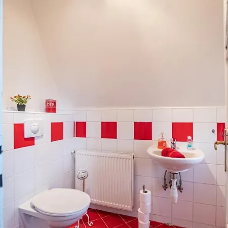 Lumir * 波杰布拉迪