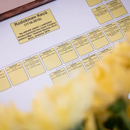 Lumir 波杰布拉迪